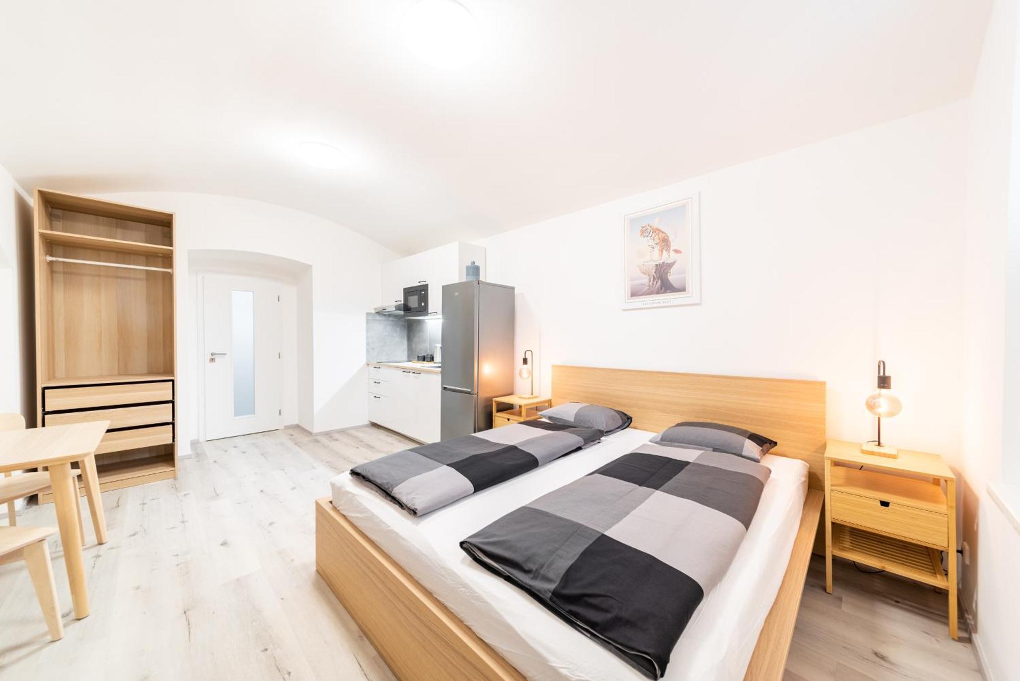 Apartament Borivojova 63
