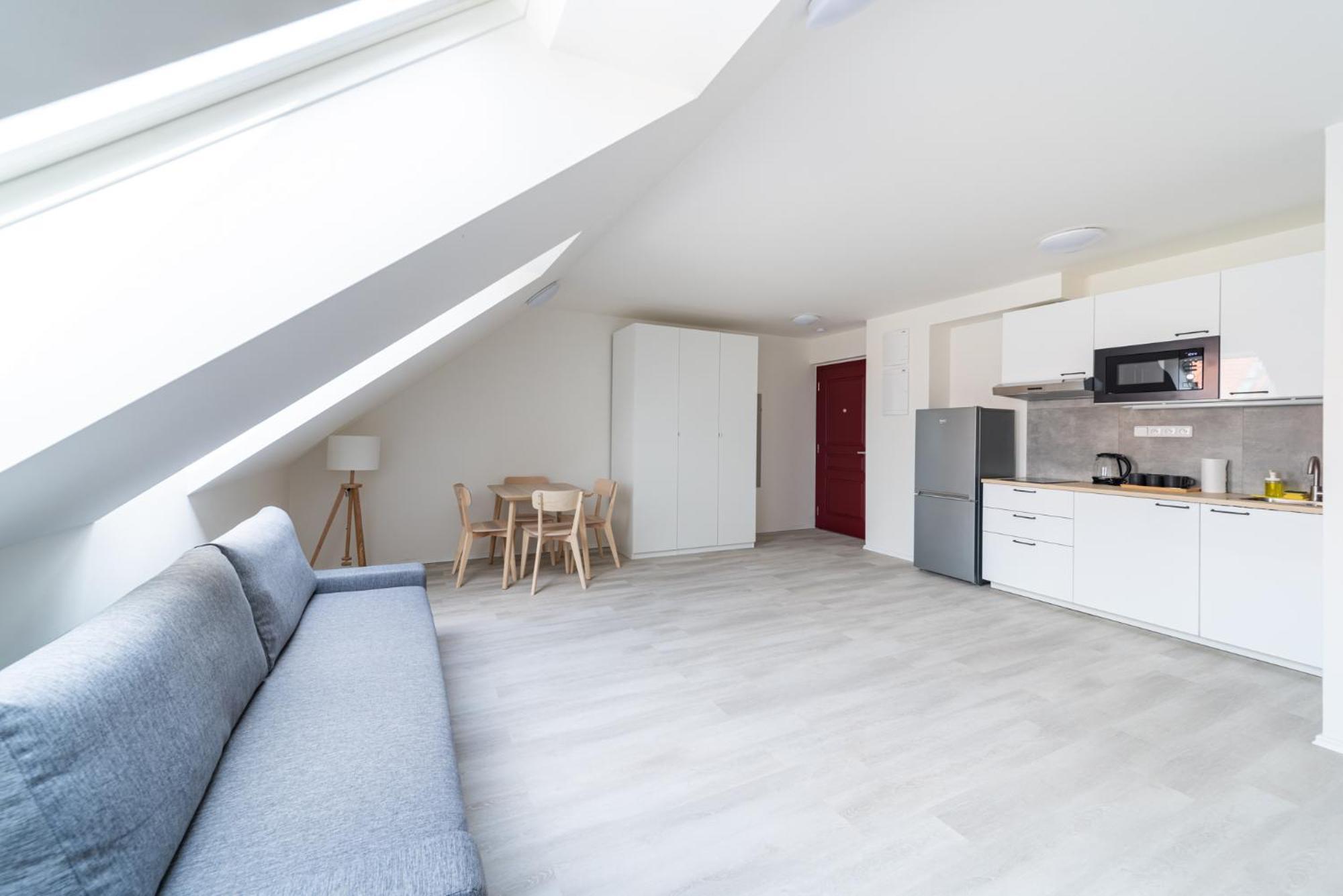 Borivojova 63 Apartament Praga