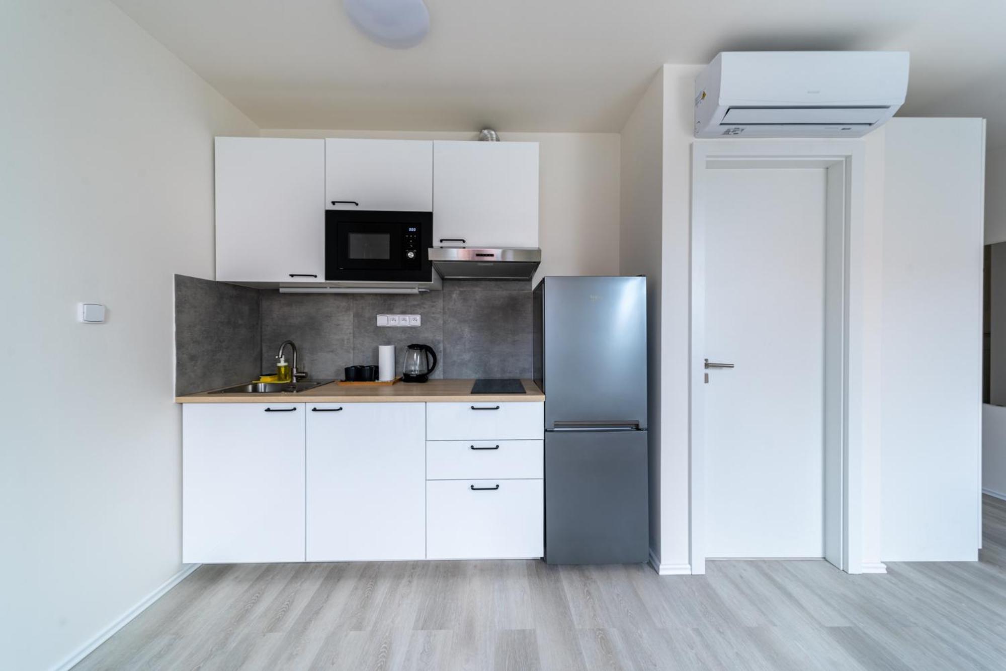 Apartament Borivojova 63